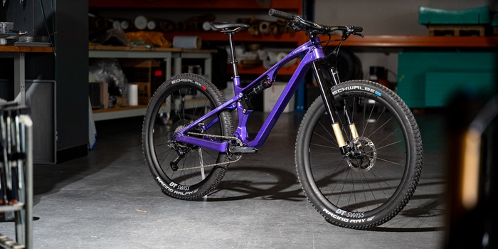 Manuel Wenk Manuel Wenk